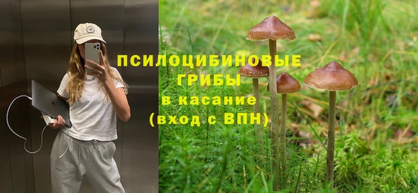 герыч Абаза