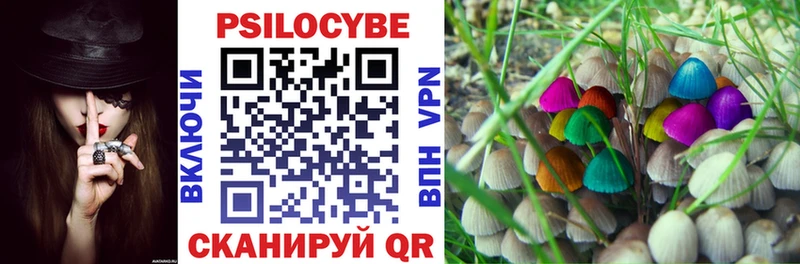 Псилоцибиновые грибы ЛСД закладка Ак-Довурак